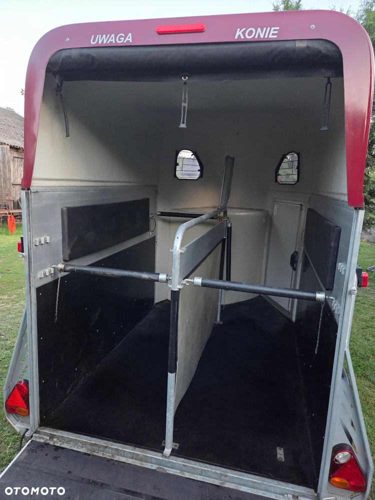 Cheval Liberte GOLD PULLMAN V2 - 9