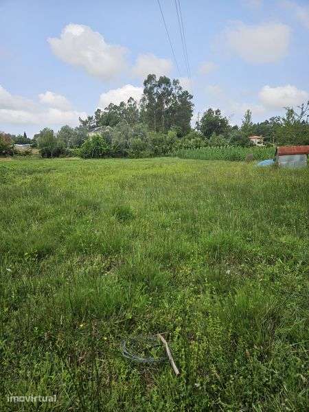Terreno agrícola - Grande imagem: 4/8