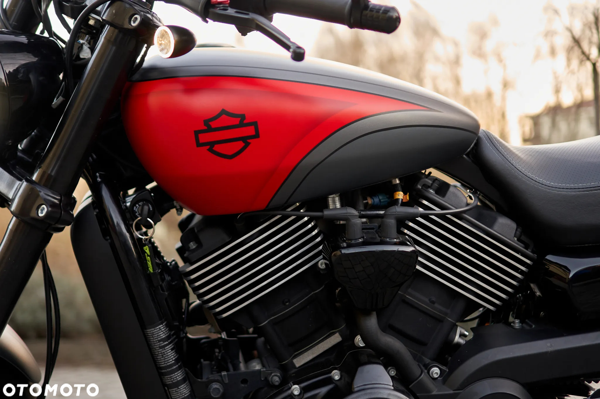 Harley-Davidson Street Rod XG 750A - 13
