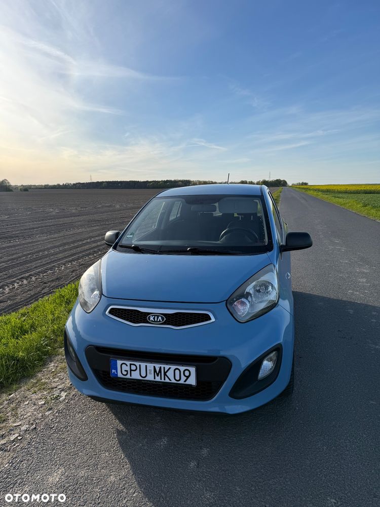 of the car