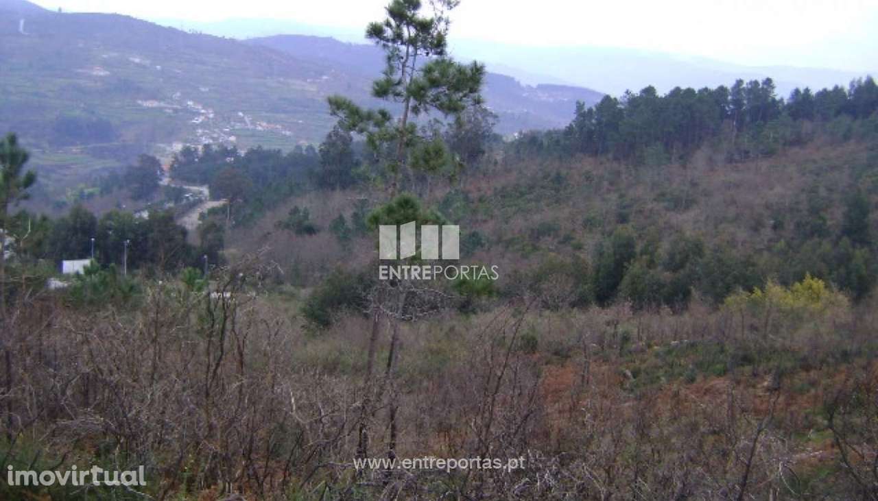 Venda Terreno, Campelo, Baião - Grande imagem: 2/5