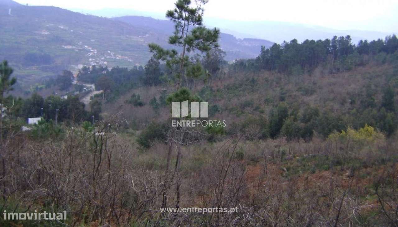 Venda Terreno, Campelo, Baião - Grande imagem: 2/5