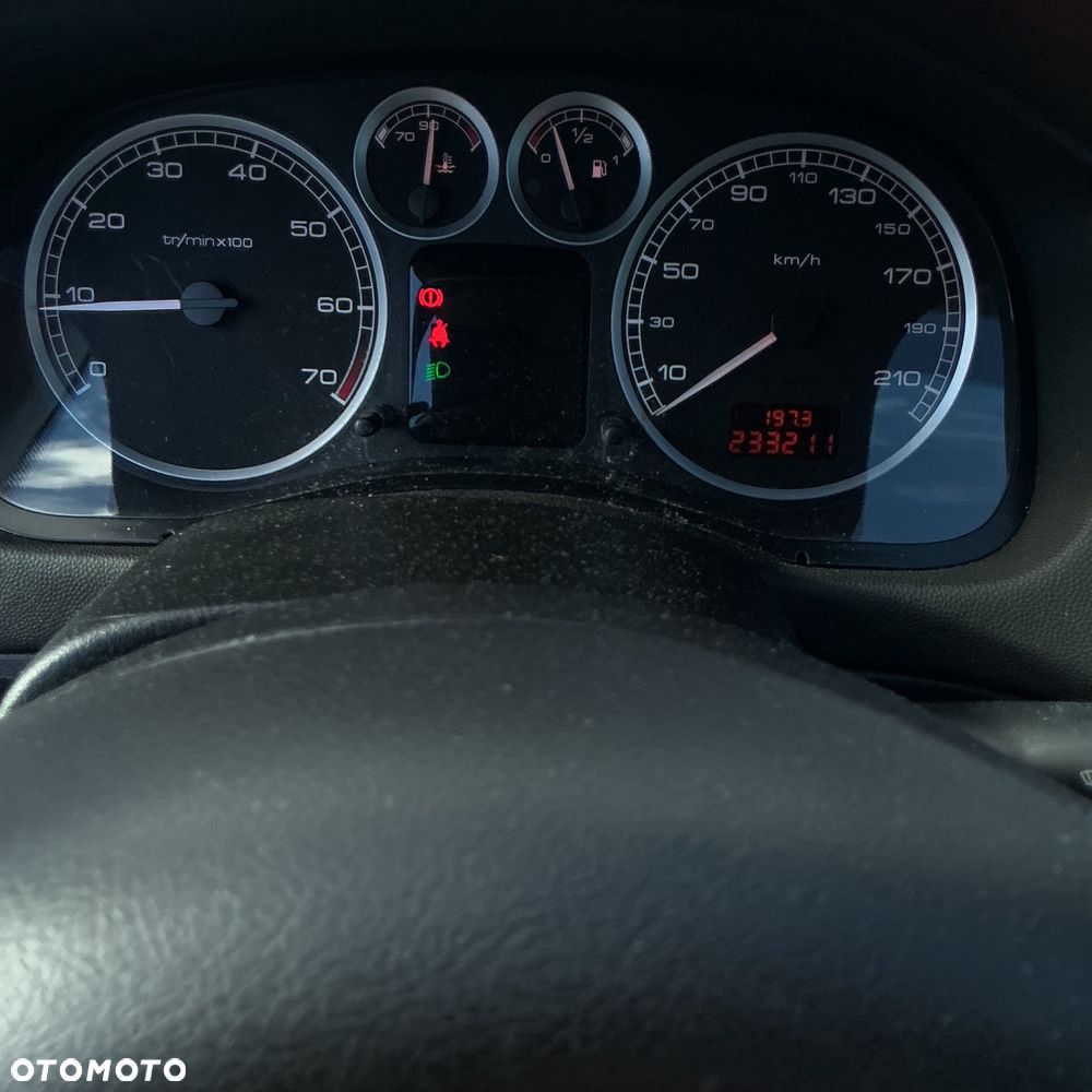Peugeot 307 110 OXYGO - 21