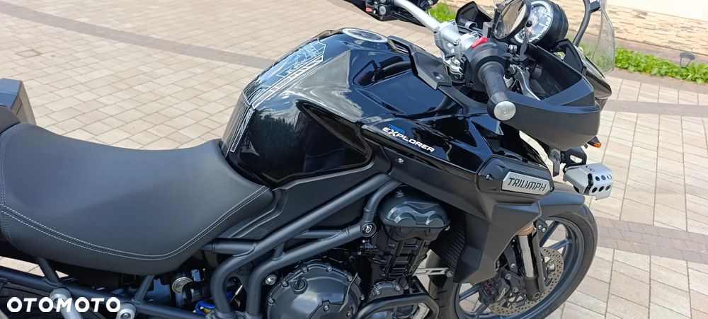 Triumph Tiger - 21