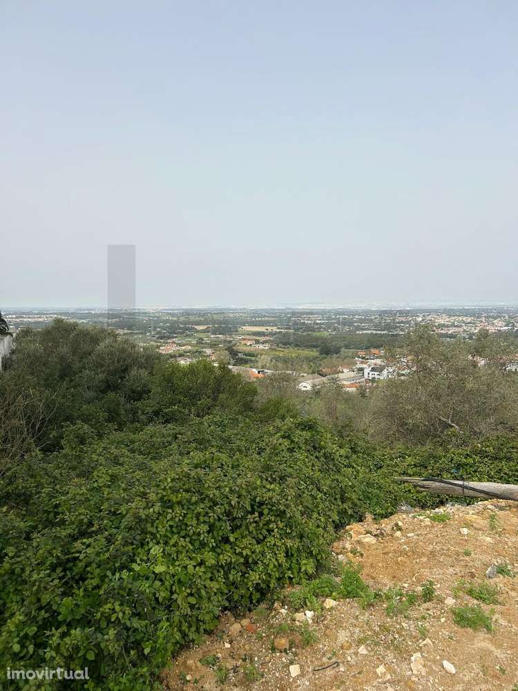 Terreno Urbano para Construção – Loteamento Exclusivo em Palmela - Grande imagem: 5/9