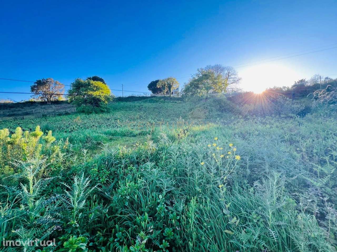 Terreno para construção no Vimeiro - Grande imagem: 2/5
