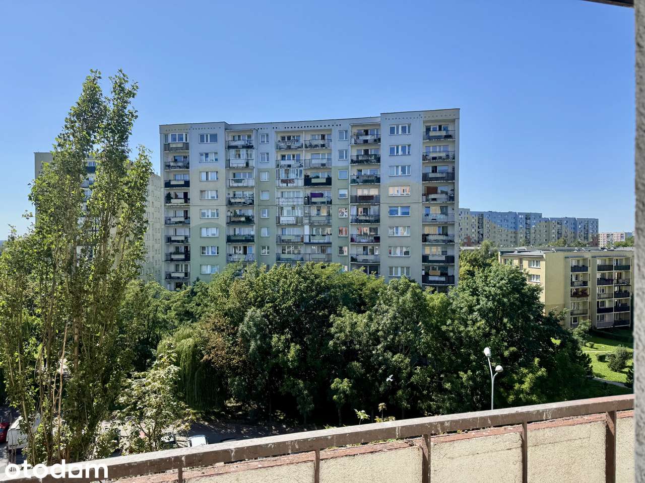 Retkinia | M3 2-pokoje rozkładowe, okna PCV, loggia | bezpośrednio