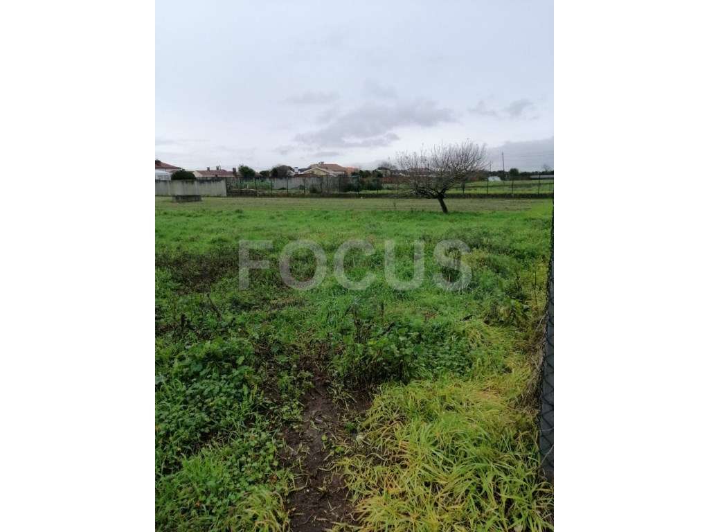 Terreno para venda ou Arrendamento Oliveirinha - Grande imagem: 2/3