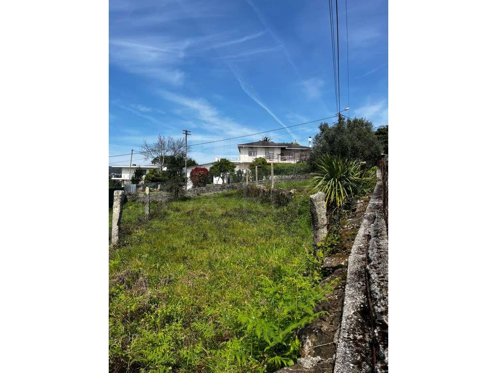 Terreno para construção - Nogueira - Grande imagem: 4/11