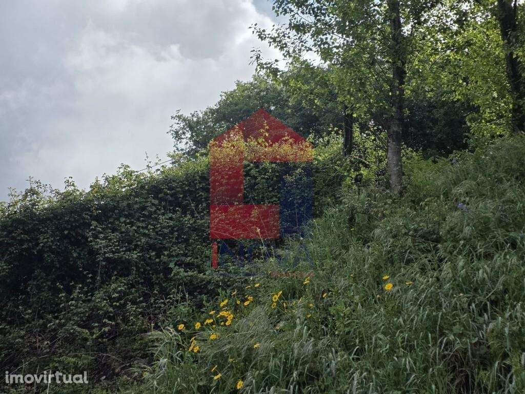 Terreno para construção, Duas Igrejas - Grande imagem: 5/15
