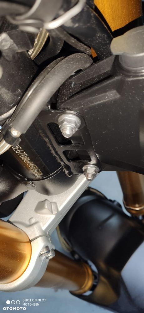 Triumph Tiger - 19