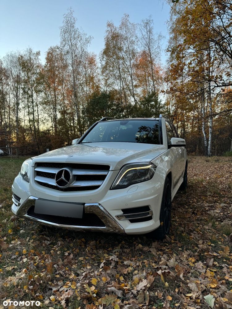 Mercedes-Benz GLK 220 CDI BlueTEC 4-Matic - 2