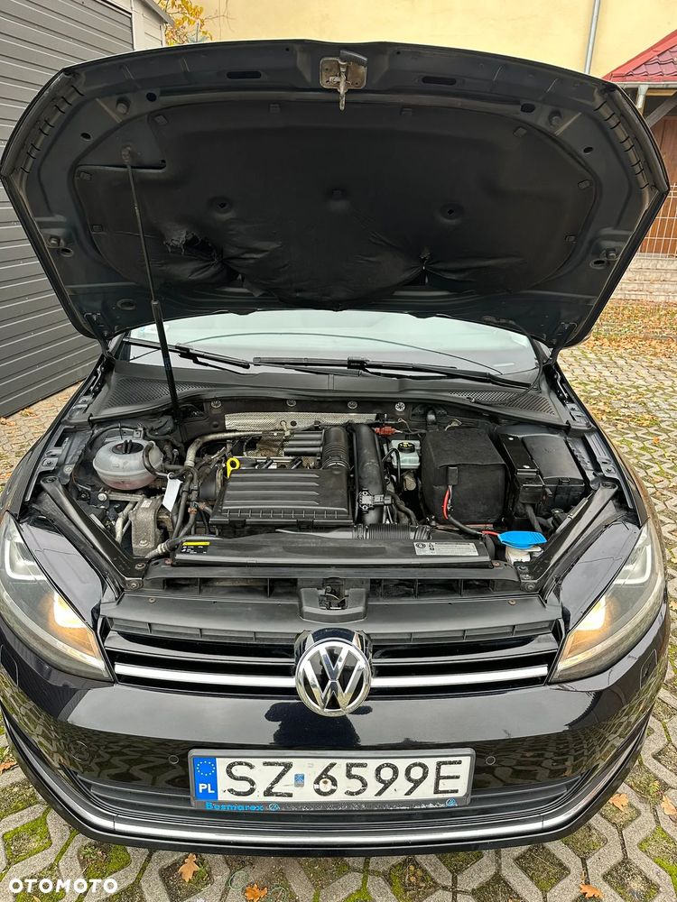 Volkswagen Golf - 8