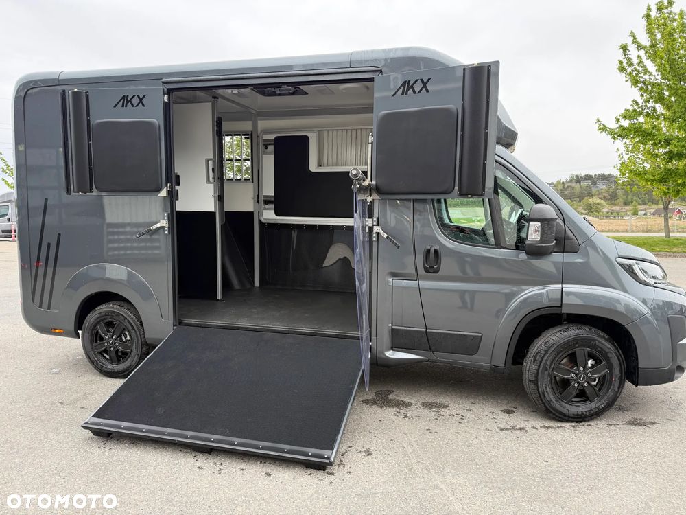 Opel Movano AKX Koniowóz 4250kg C1, 1500 kg ładowności! - 9
