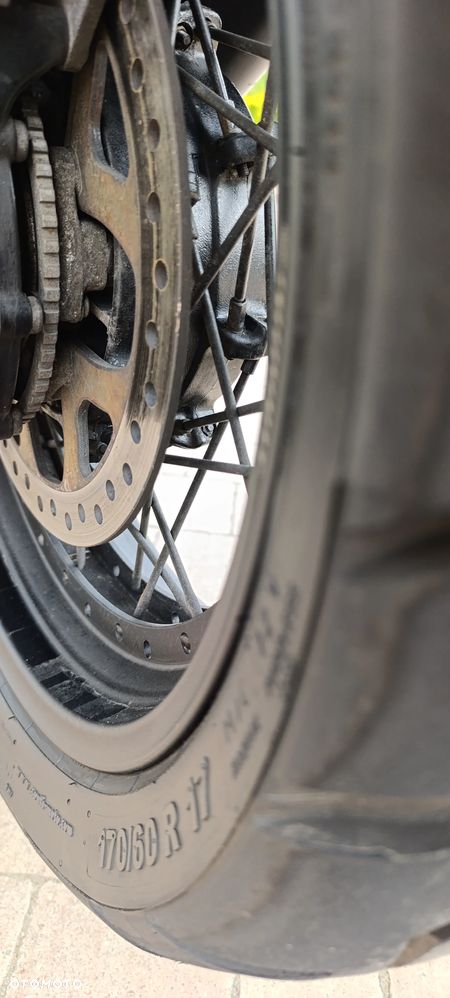 Triumph Tiger - 31
