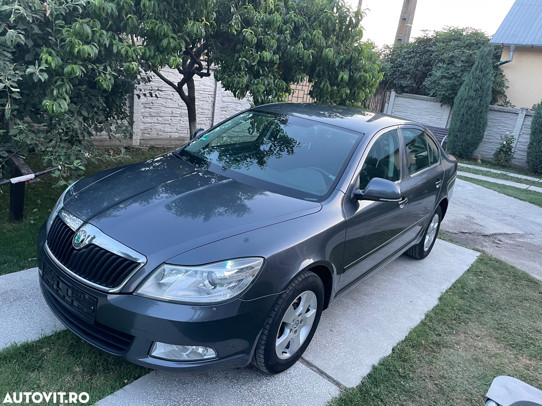 Skoda Octavia - 11