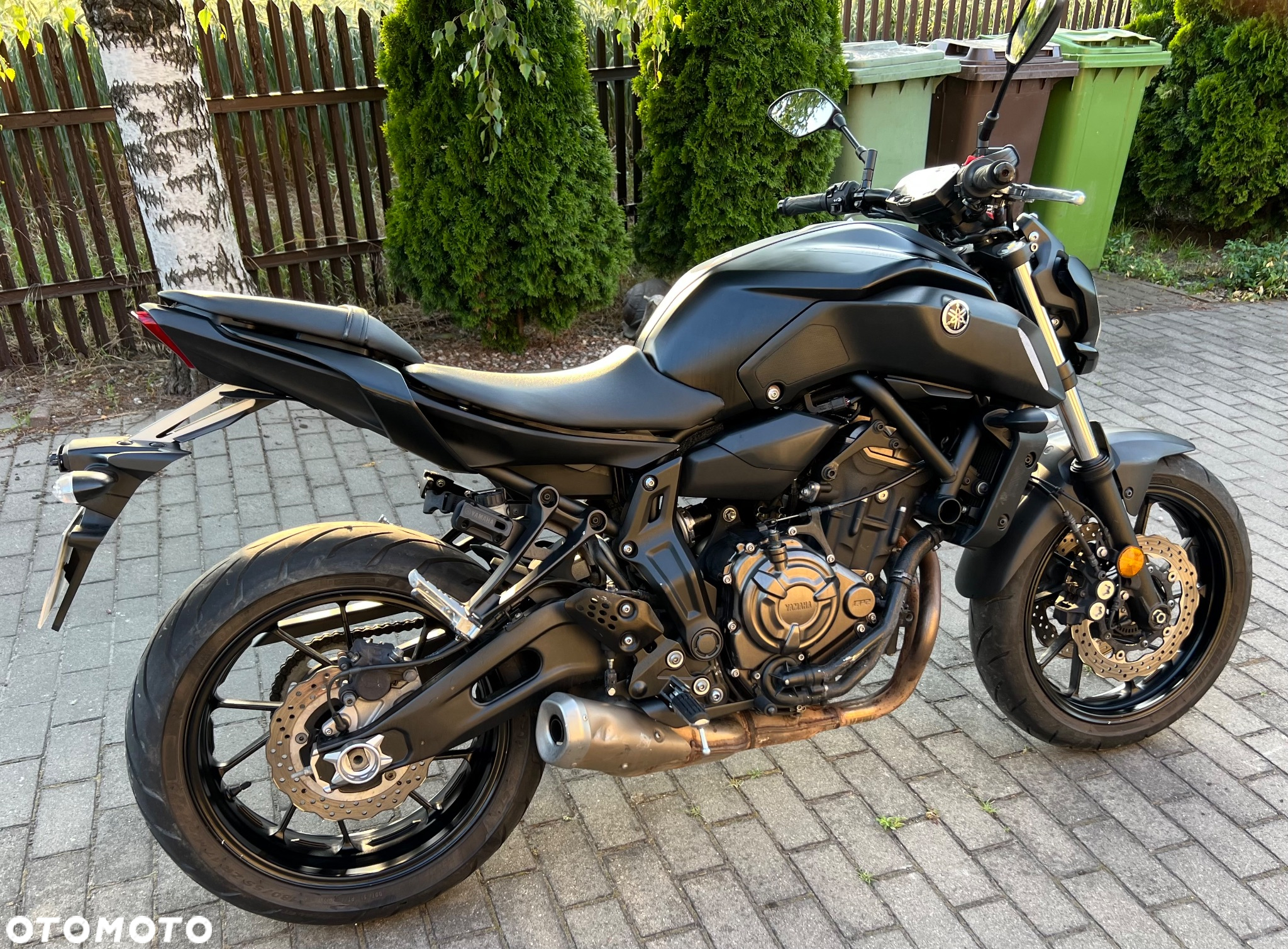 Yamaha MT - 6