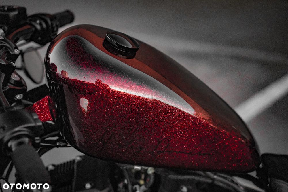 Harley-Davidson Sportster Forty-Eight - 15