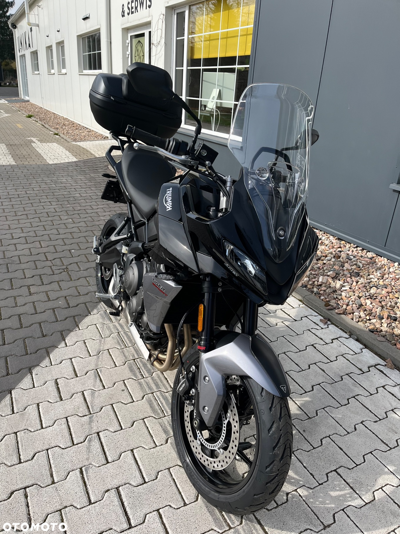 Triumph Tiger - 7