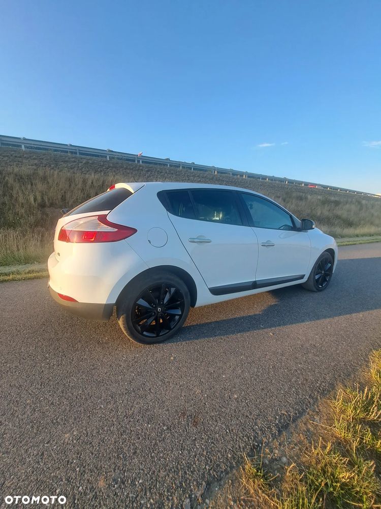 Renault Megane 1.9 dCi Color Edition - 2