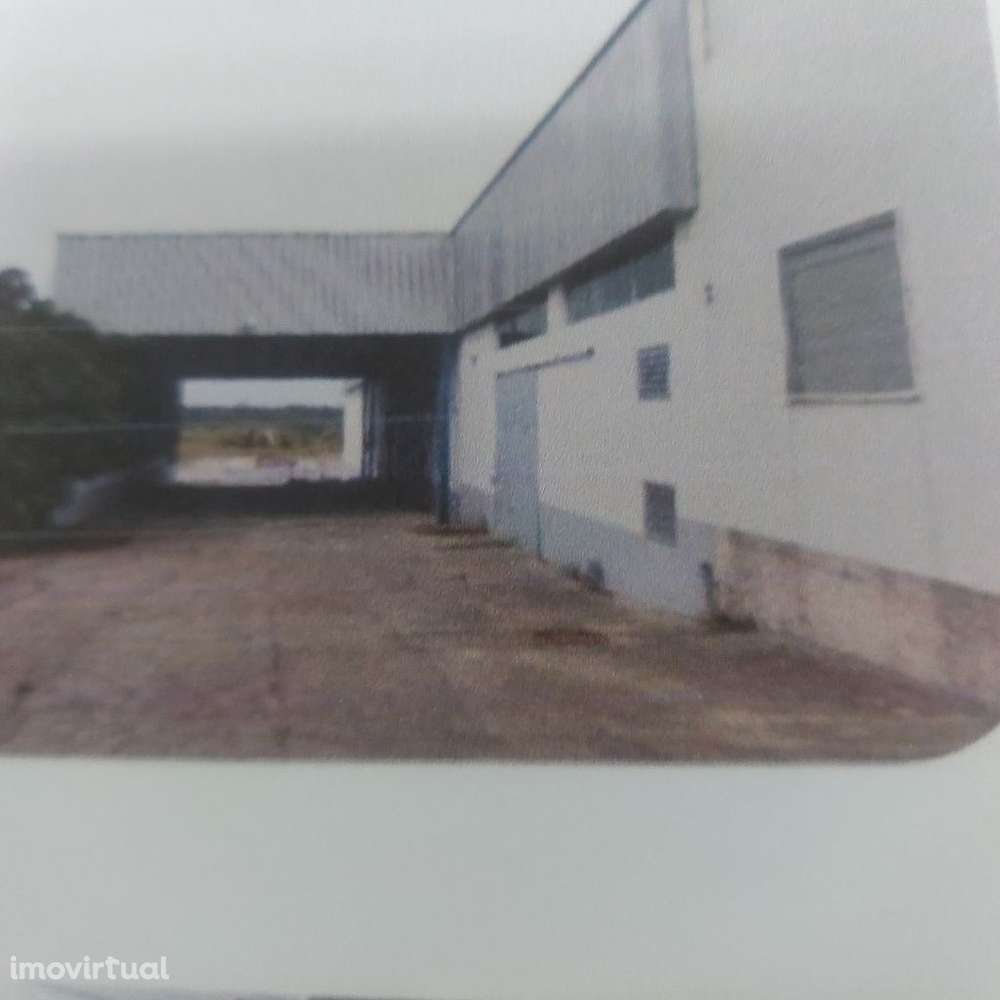 Armazém Industrial - Grande imagem: 3/5