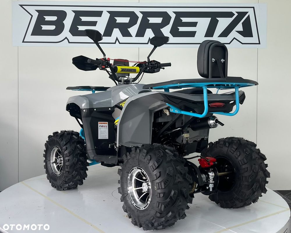Berreta Inny - 6
