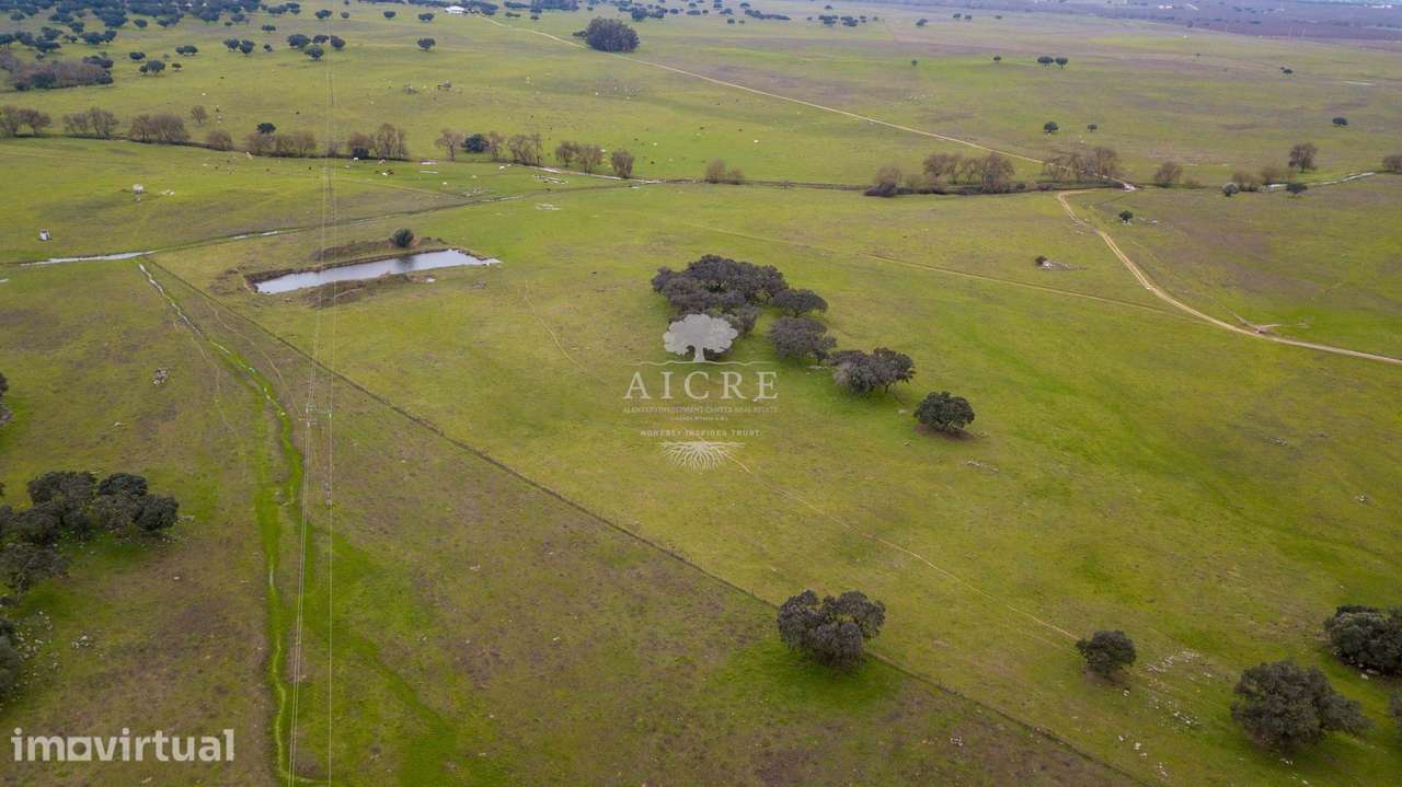Herdade com Capacidade Fotovoltaica - - Grande imagem: 5/9