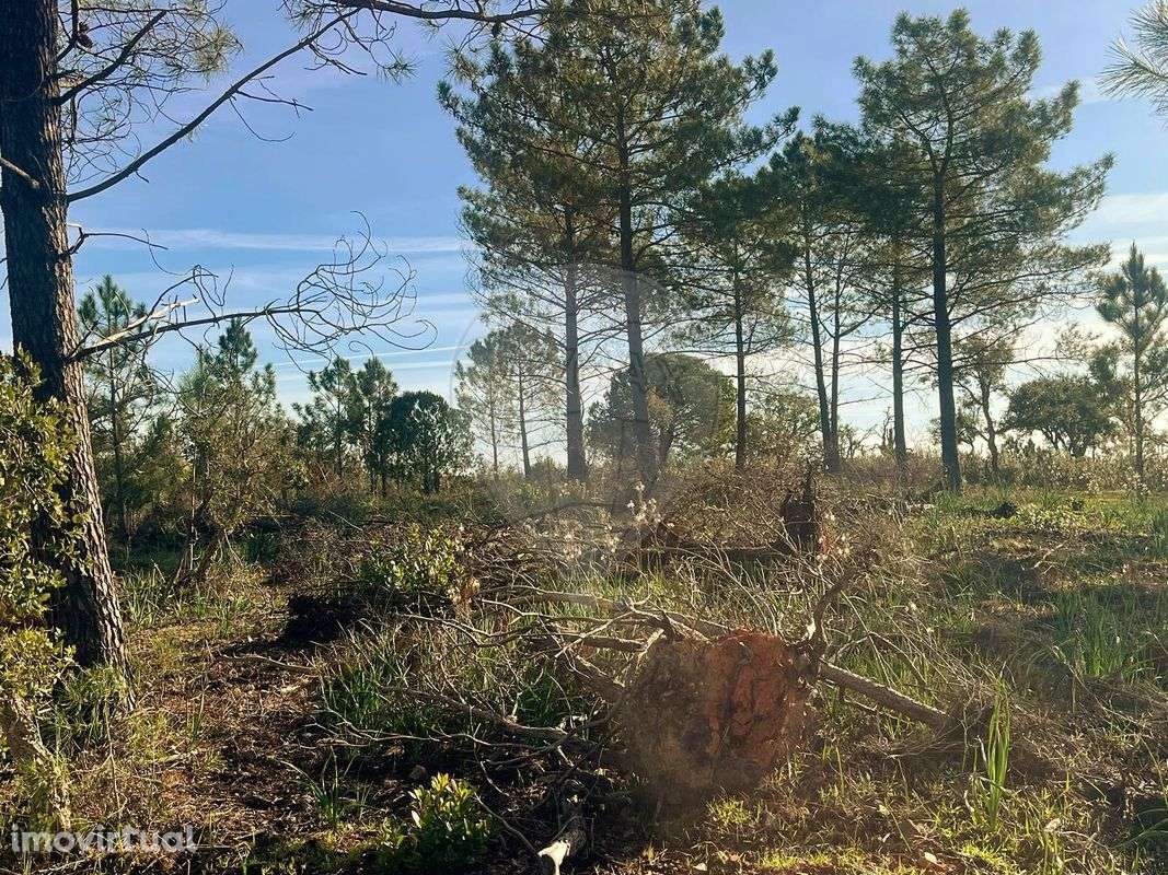 Terreno  para venda - Grande imagem: 2/8