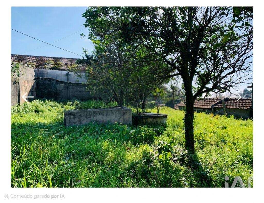 Casa / Villa T5 em Belinho e Mar de 220,00 m2 - Grande imagem: 4/5