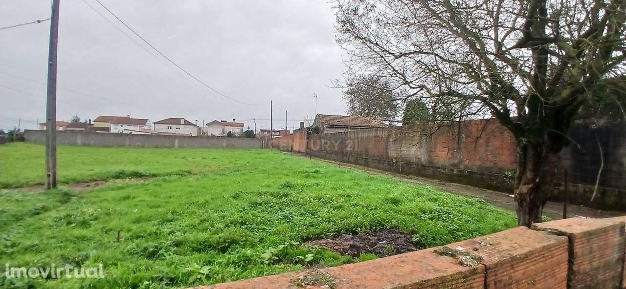 Lote Terreno venda Barqueiros - Grande imagem: 5/15