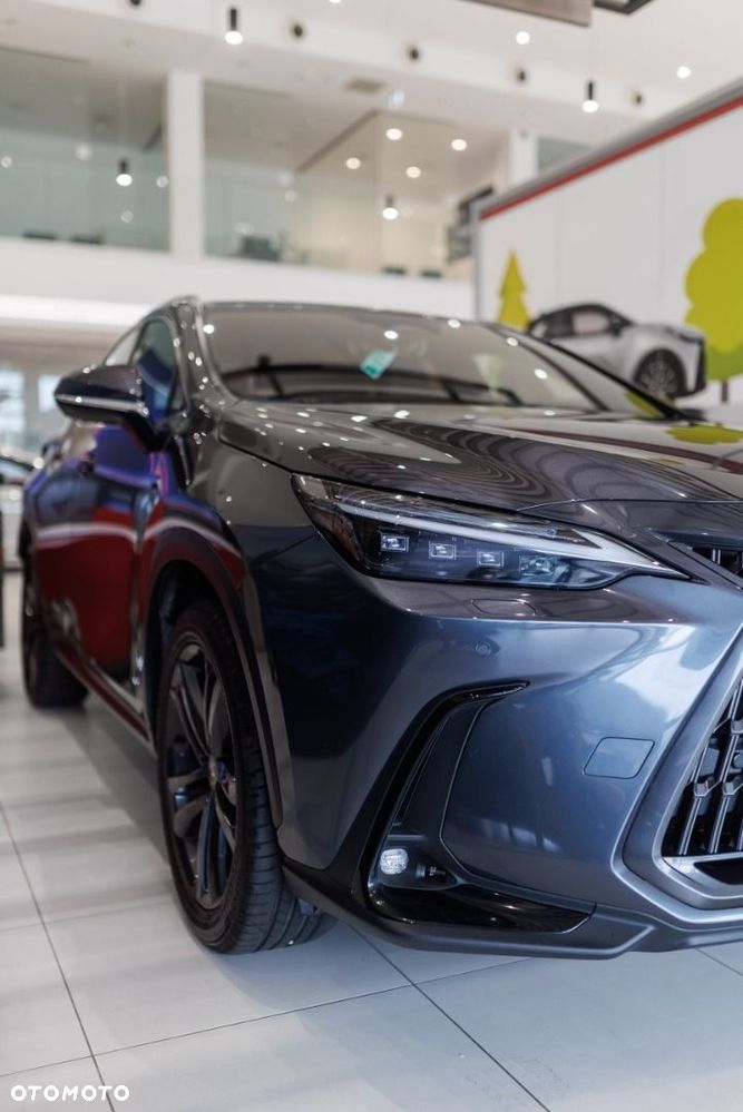 Lexus NX - 13