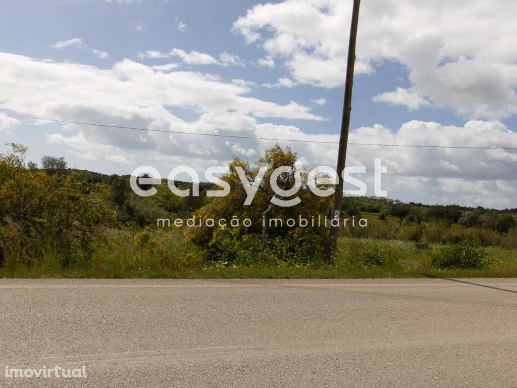 Terreno Rústico com poço para cultura de sequeiro no Sapal Chão - Grande imagem: 3/16