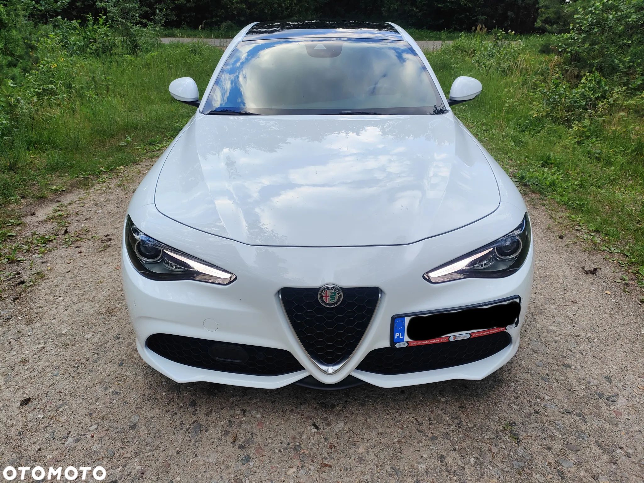 Alfa Romeo Giulia 2.0 Turbo TI Q4 - 1