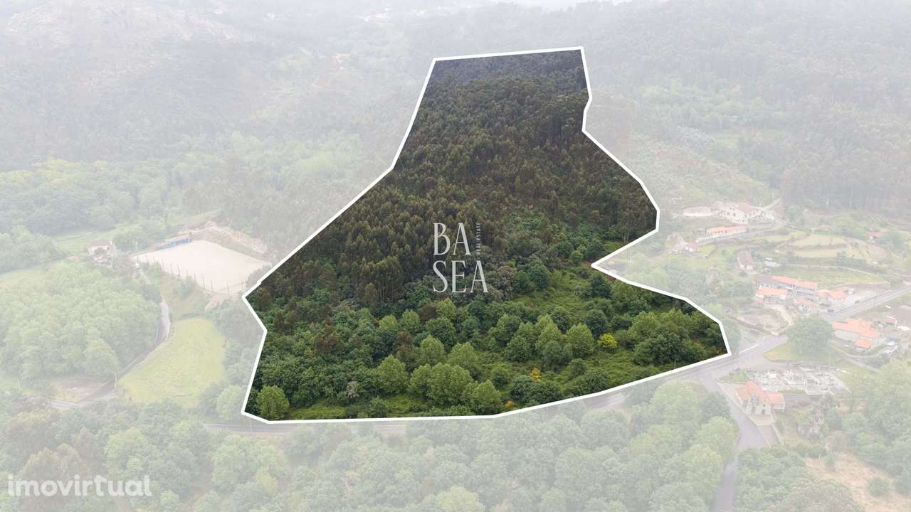 Quinta em ruína com 9.6 ha de terreno em São Clemente Fafe - Grande imagem: 5/29