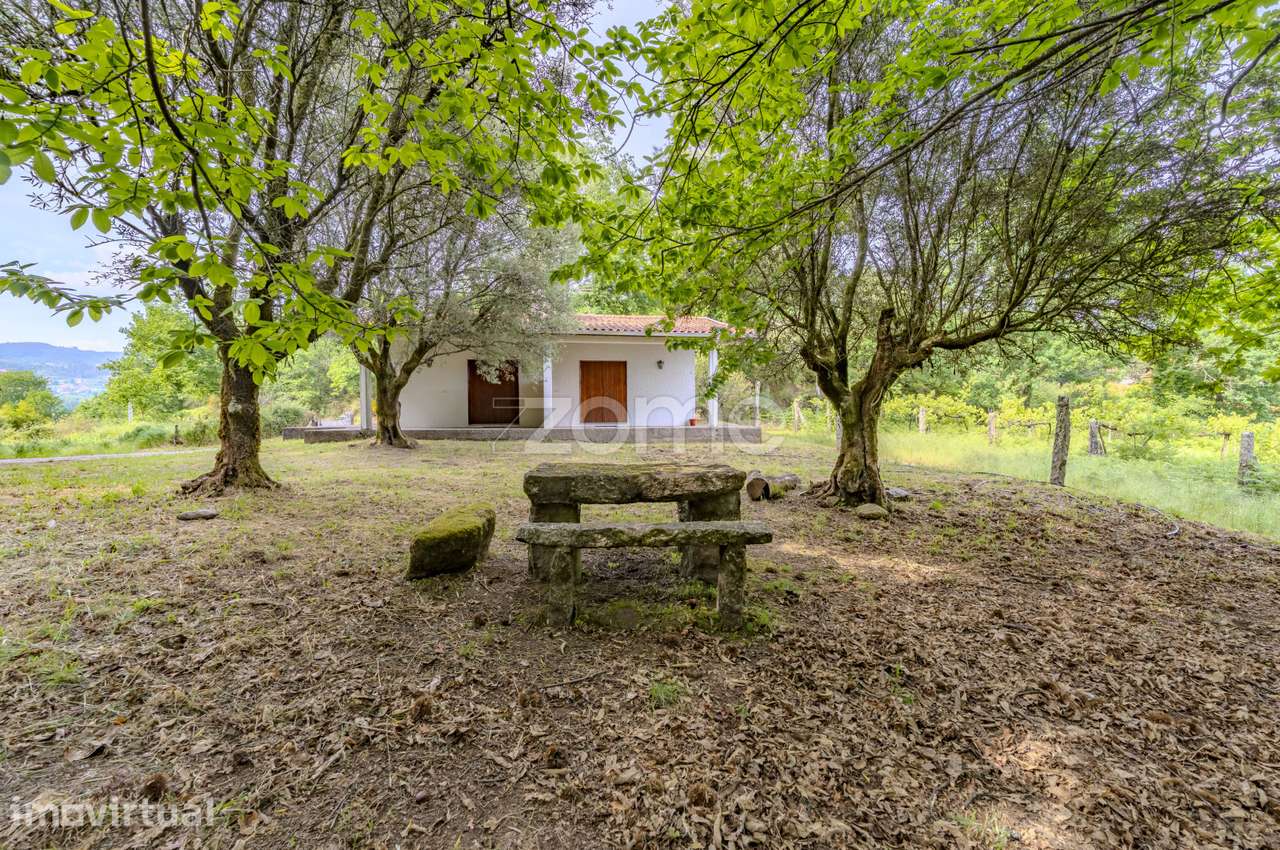 Quinta com casa do século XVIII com vista para o Rio Lima - Grande imagem: 4/41