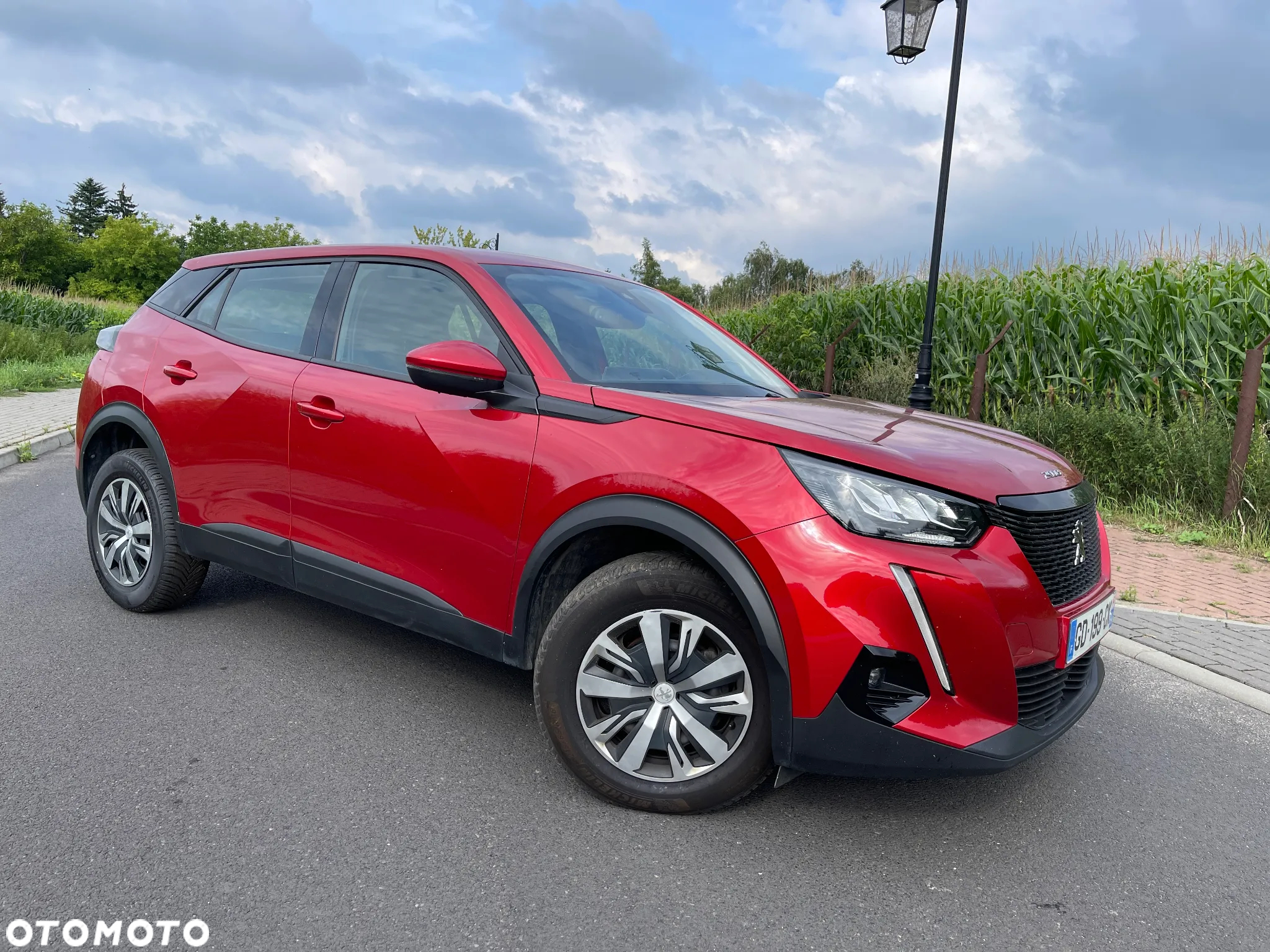 Peugeot 2008 PureTech 100 Active - 30