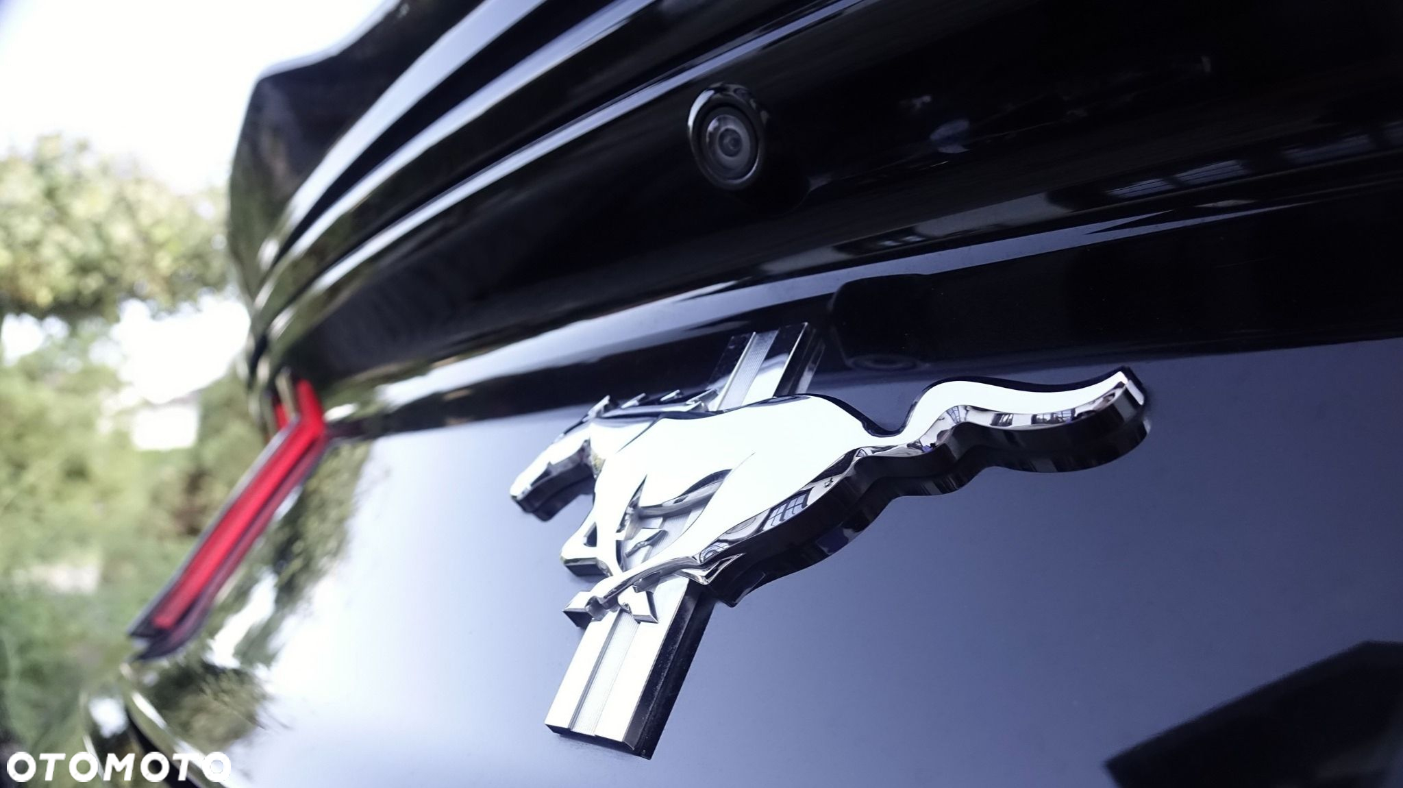 Ford Mustang - 8