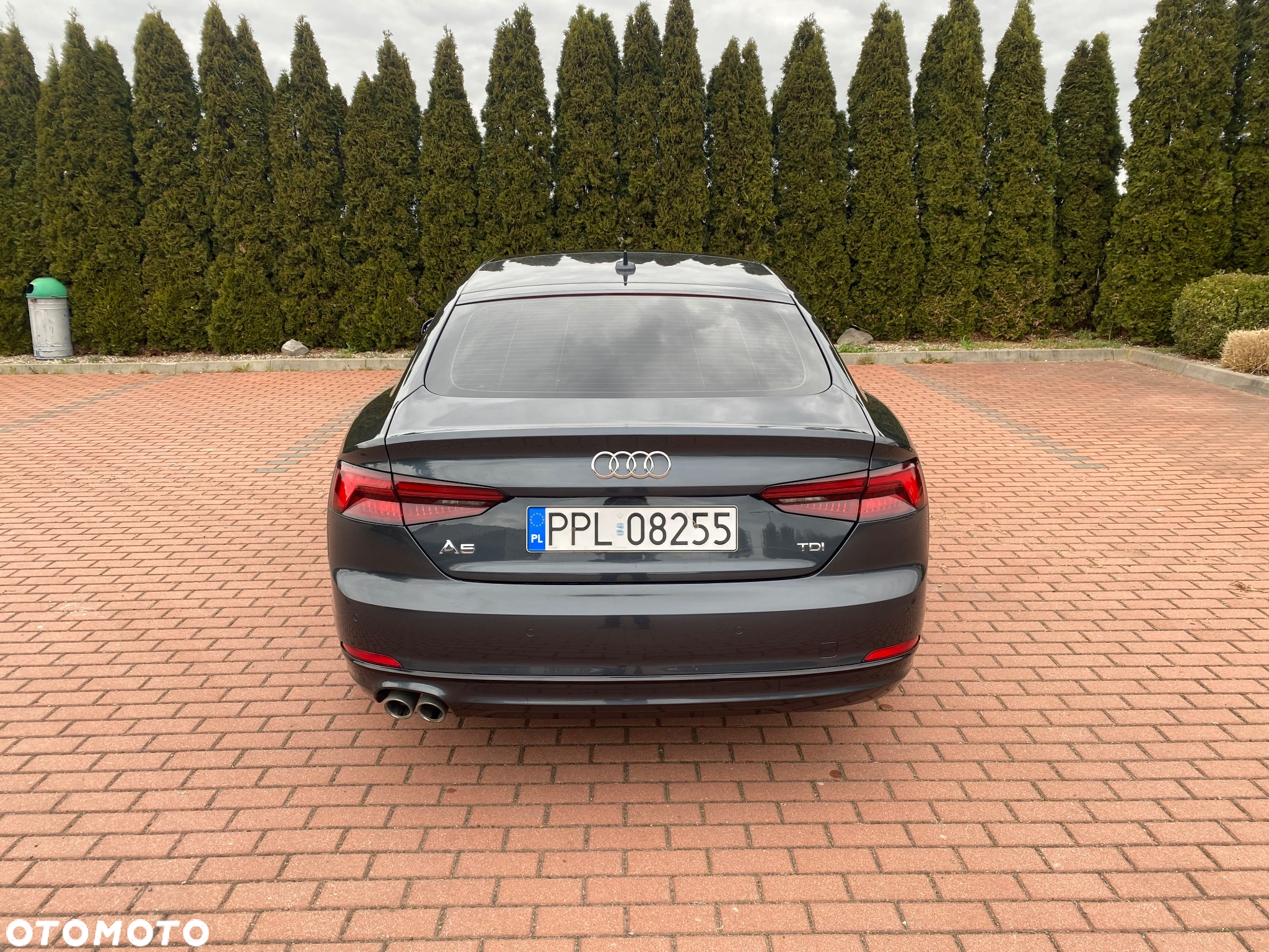 Audi A5 - 7
