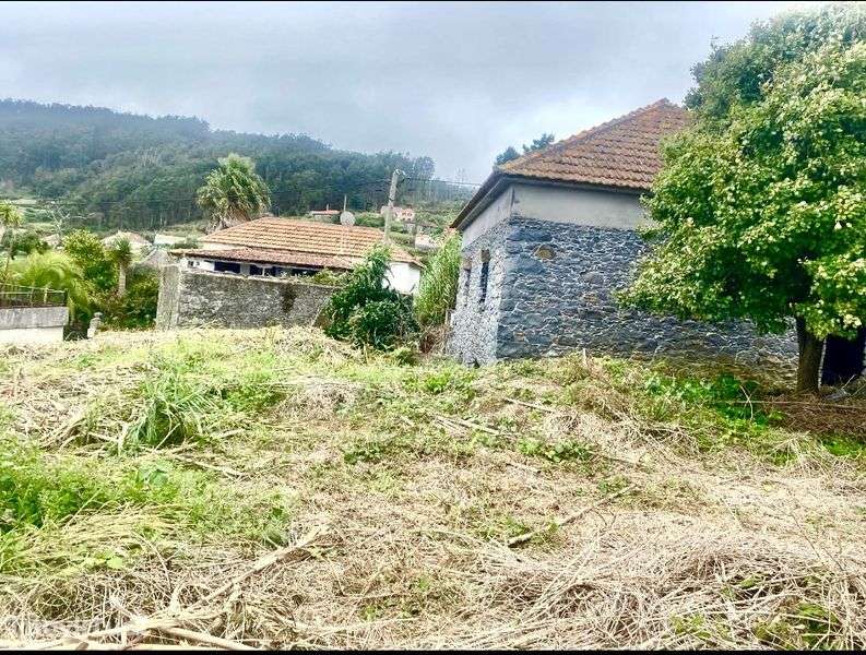 Casa de pedra e palheiro para reconstruir-Porto Moniz - Grande imagem: 3/4