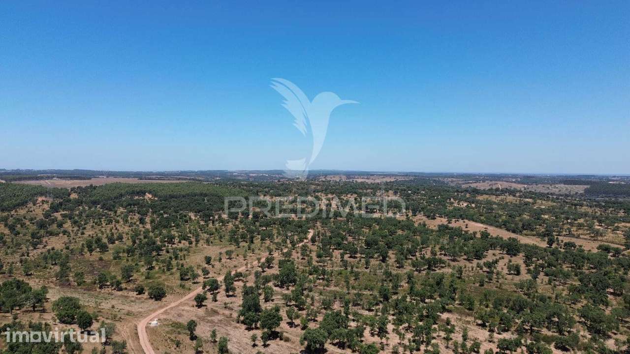 Propriedade de 43,5 Hectares junto à Barragem de Campilhas | Santia... - Grande imagem: 5/6