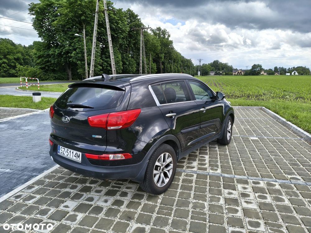 Kia Sportage - 3