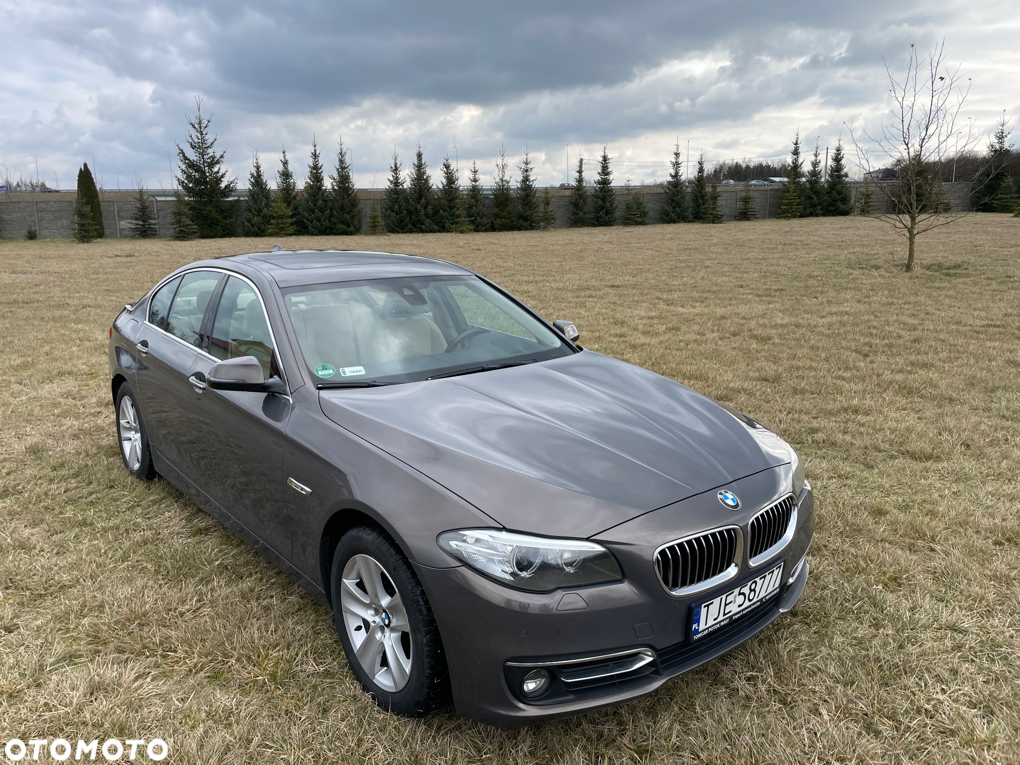 BMW Seria 5 530d xDrive Luxury Line - 2