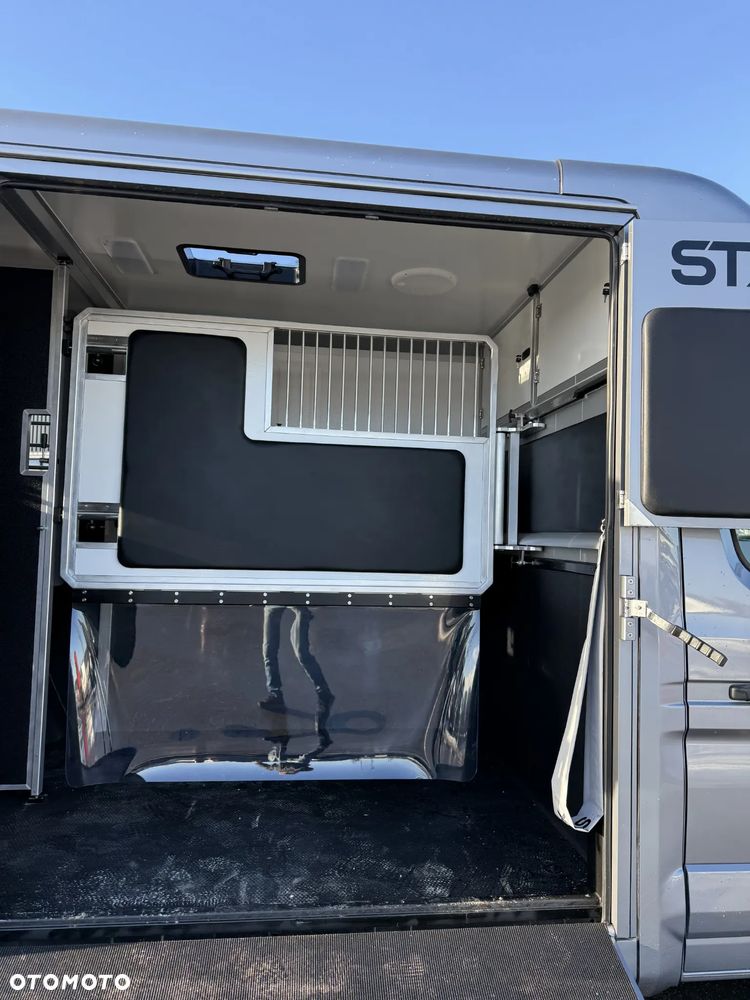 Renault MASTER IV Nowy koniowóz STX Automat, GWARANCJA - 9