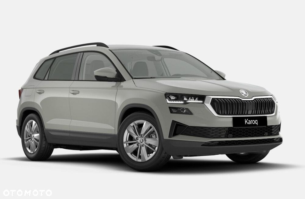 Skoda Karoq - 2