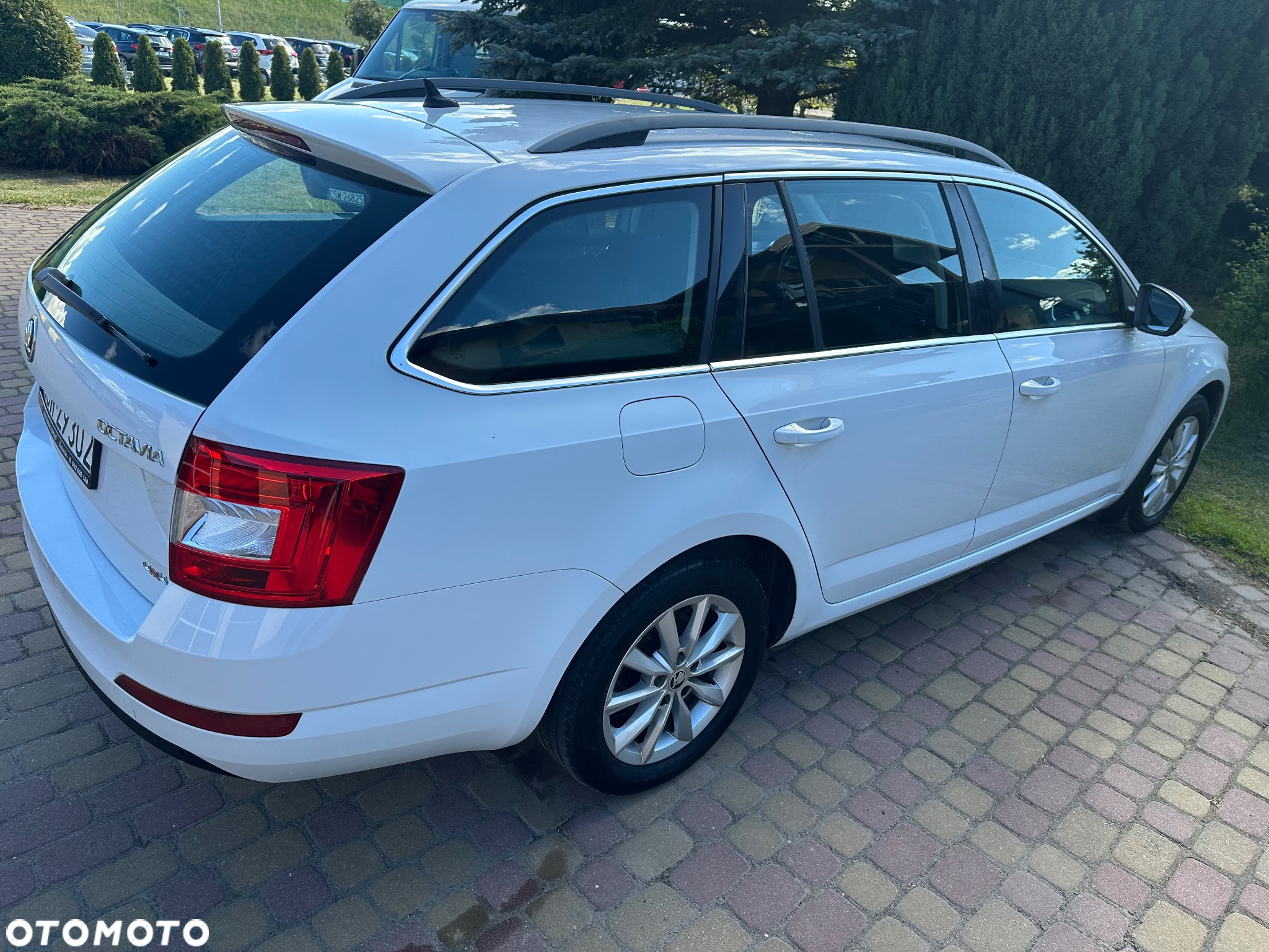 Skoda Octavia 1.6 TDI 4x4 Ambition - 10