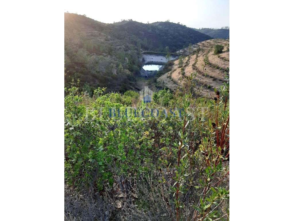 Herdade Única na Barragem de Santa Clara - 33,77ha de potencial - Grande imagem: 4/21
