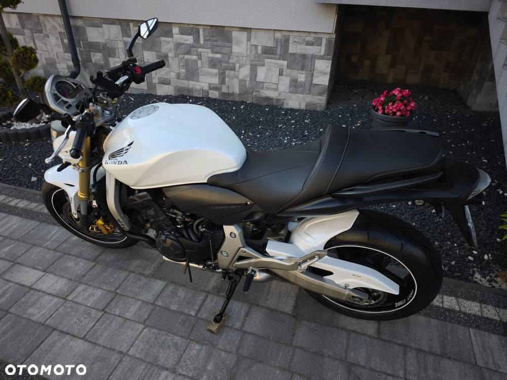 Honda Hornet - 31
