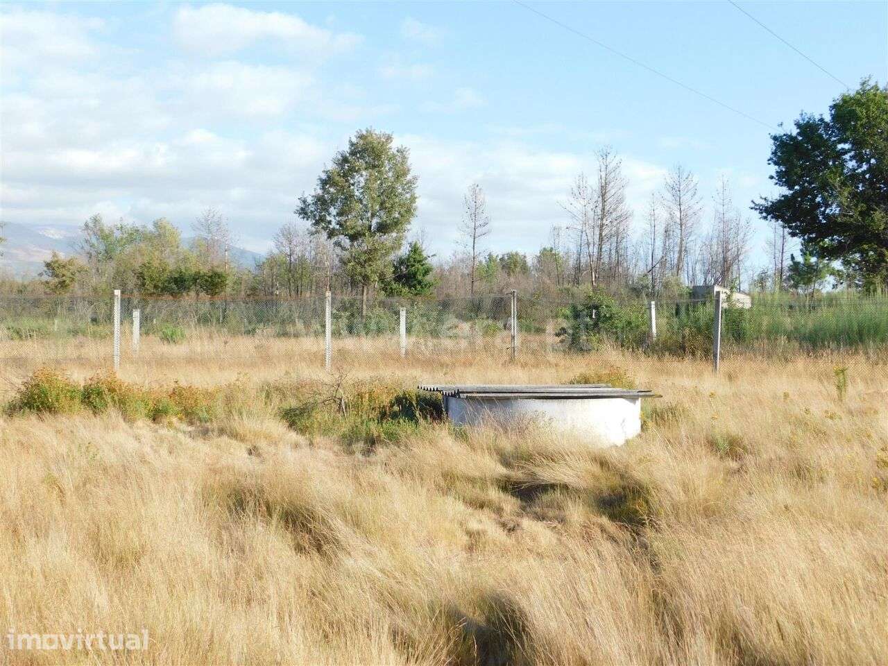 Terreno / Seia, Santa Comba - Grande imagem: 4/6