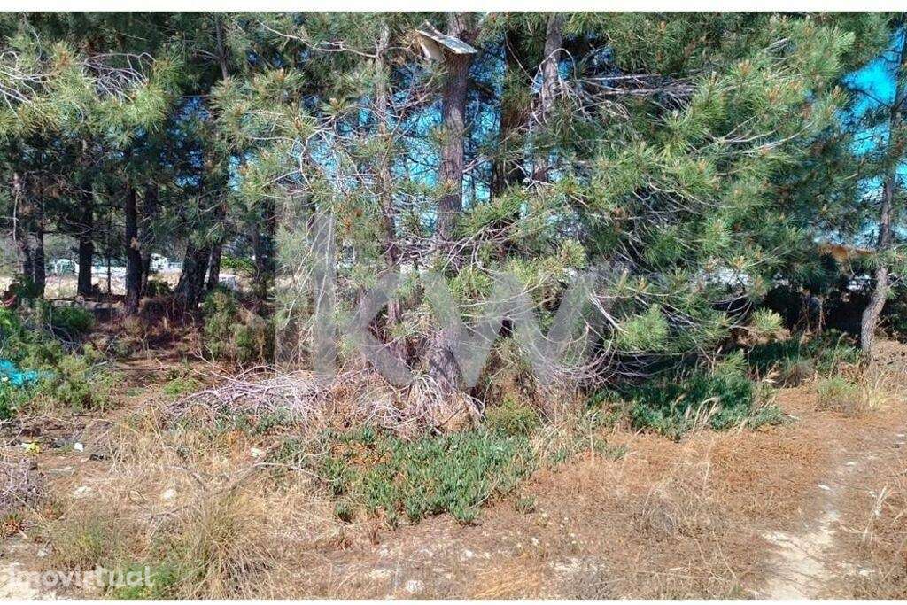 Terreno Urbano com 328m2 em Fernão Ferro – Perto de Praias e de Lisboa - Grande imagem: 5/16