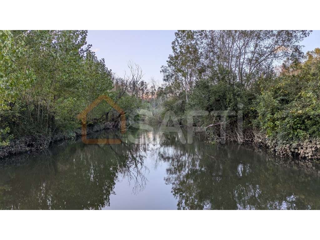 Moradia em Xisto, em frente ao rio Sousa. - Grande imagem: 4/6